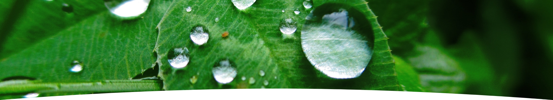 TIN TỨC & SỰ KIỆN