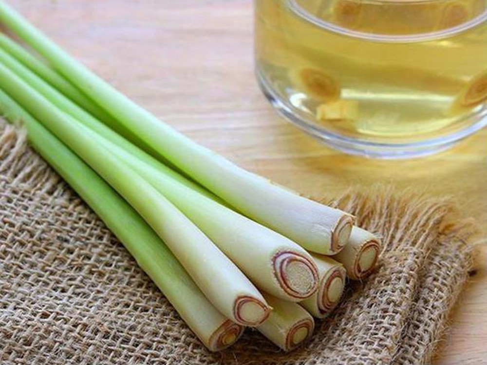 D'AN GIA OIL | LEMONGRASS MATERIAL AREA