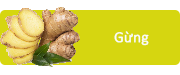Ginger