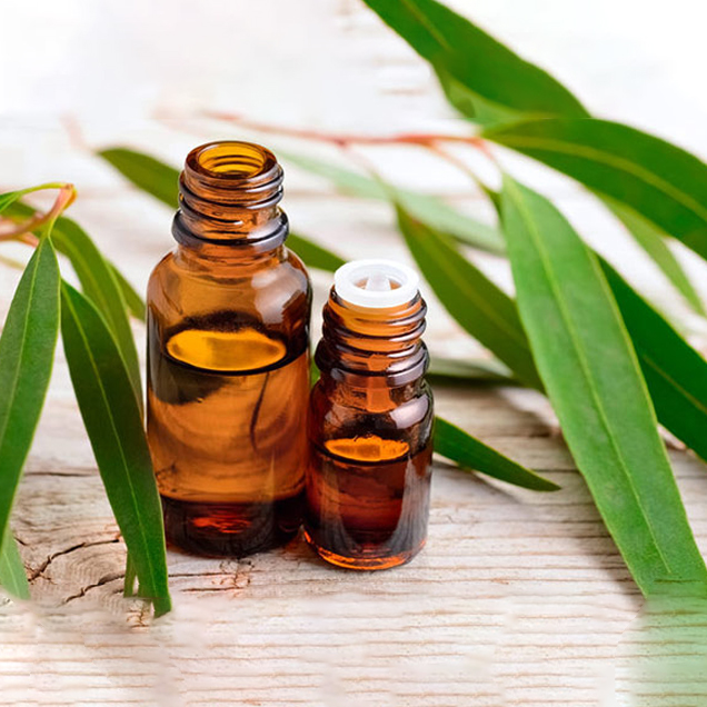 Tinh dầu Khuynh Diệp 50ml